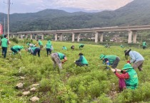 청도읍 새마을3단체, 가을 꽃밭 가꾸기 봉사활동 실시.jpg